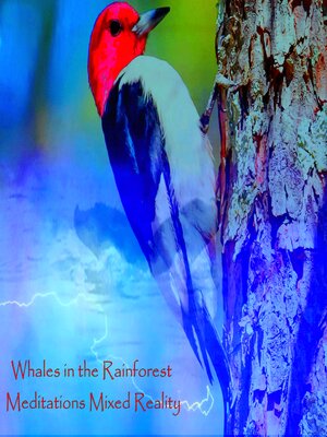 cover image of Whales in the Rainforest--Meditations Mixed Reality